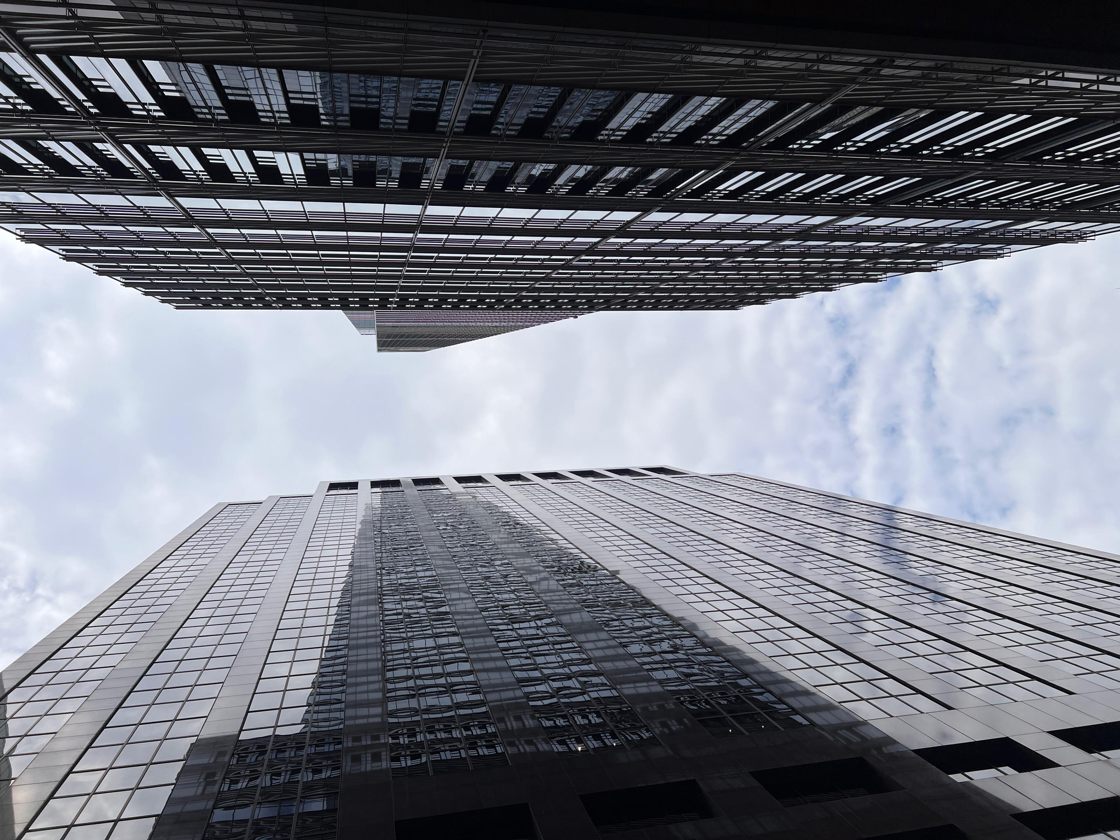 Boniwarth Sports logoin old glory red and navy blue.