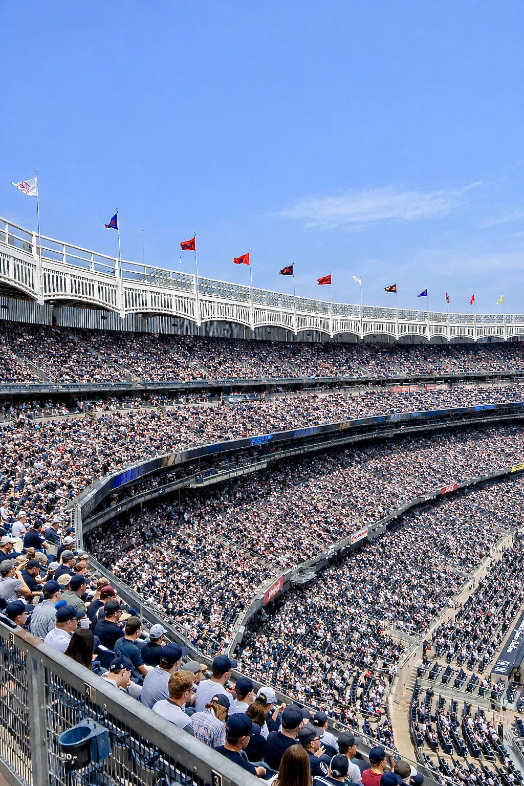 Boniwarth Sports logoin old glory red and navy blue.